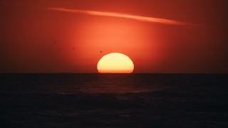 Sunset ocean boat birds matte - a sunset over the ocean free wallpaper