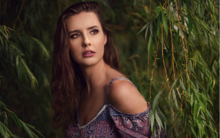 Woman long hair blue dress 5 - branch free wallpaper