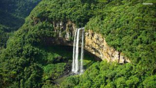 Waterfall forest bridge river nature - a bridge over free wallpaper