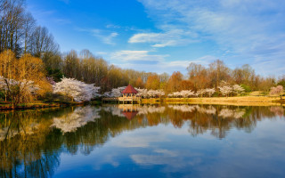 Lake trees redbuilding blue sky - impressionist free wallpaper