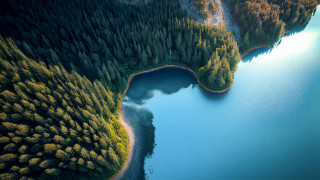 Lake forest trees sky water - tree and a forest in the background free wallpaper