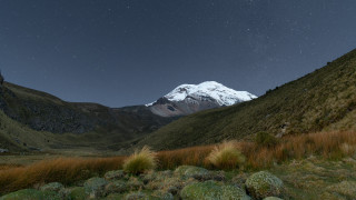 Mountain snow capped peak grass - green plant free wallpaper