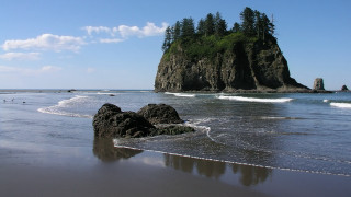 Beach rock formation trees ocean - beach free wallpaper