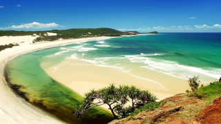 Beach sandy shore green white - sandy free wallpaper