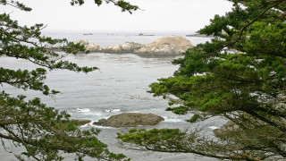 Lake view forest trees rocks - a view of a body free wallpaper