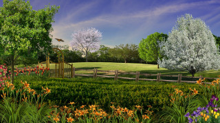 Garden fence flowers bird blue - balcomb greene free wallpaper