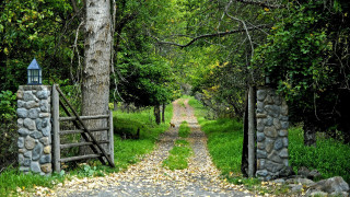Stone gate forest path architecture - a path free wallpaper