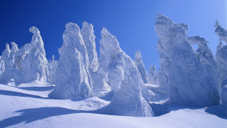 Snow mountain blue sky trees - snow free wallpaper
