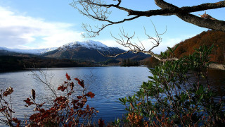 Lake mountains trees autumn leaves - a few leaf free wallpaper