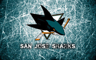 San jose sharks logo hockey - derek chittock free wallpaper