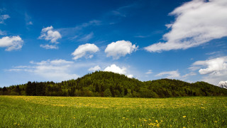 Mountain field clouds yellowflowers landscape - edi rama free wallpaper