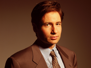 Man suit tie posing picture 7 - a brown background behind free wallpaper
