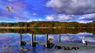 Bird dock lake boat sky - beautiful landscape free wallpaper