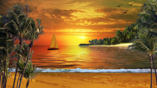 Sailboat tropical beach sunset palm - a tropical beach free wallpaper