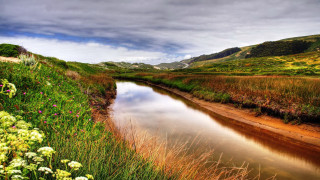 River hillside flower meadow mountains - lush free wallpaper