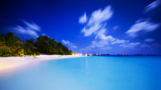 Beach palm trees moon night - dreamlike free wallpaper
