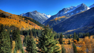 Mountain range forest road blue - a blue sky in the background free wallpaper for desktop