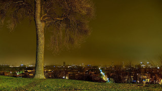 Tree grassy field city night - a grassy field free wallpaper