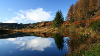 Lake forest sky clouds reflections - a forest free wallpaper