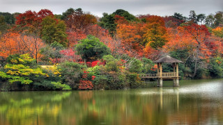 Gazebo lake trees fall bridge - the background and a bridge in the foreground free wallpaper