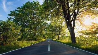 Road trees sky autumn nature - both side of it free wallpaper
