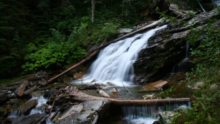 Waterfall woods fallen branch log - impressionist free wallpaper