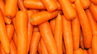 Orange yellow carrots pile fresh - postminimalism free wallpaper for desktop