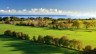 Green field trees water clouds - tree and a body of water free wallpaper