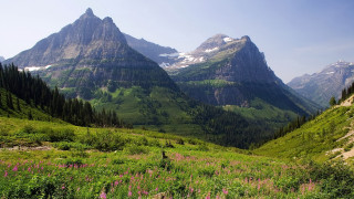Mountain valley flowers forest sky - a mountain range free wallpaper