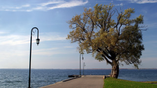 Tree road water lamp bench - the side of a road next free wallpaper