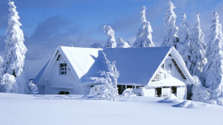 House snowy field trees blue 3 - a matte painting free wallpaper