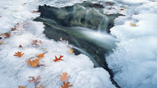 Winter waterfall leaves rocks autumn - a stream of water free wallpaper