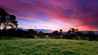 Sunset trees field mountains lake - tree and a sunset in the background free wallpaper
