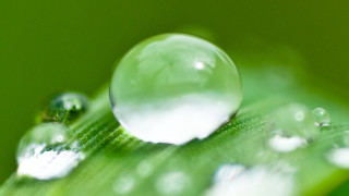 Leaf water droplets macro green - a close up of a leaf free wallpaper