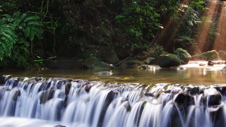 Waterfall stream forest sunlight moss - a forest in the background free wallpaper