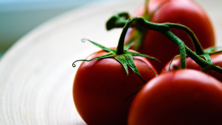 Tomatoes plate closeup macro photorealism - a close up of a group free wallpaper