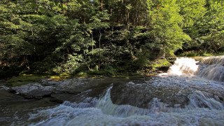 Waterfall side water surroundings forest - a bunch of water free wallpaper