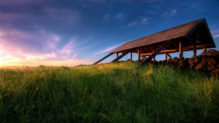Wooden structure green field rocks 2 - adobe lightroom free wallpaper