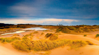 Sandy water grass cloudy sky - sandy free wallpaper