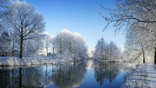 River snowy forest bench autumn - snow next free wallpaper