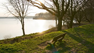 Bench lake trees sunshine romanticism - german romanticism free wallpaper
