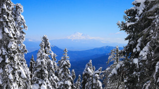 Snowy mountain range winter blue - a view of a mountain range free wallpaper