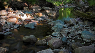 Lush forest stream rocks mountains - impressionist free wallpaper