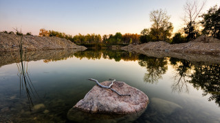 Rock snake lake forest sunset - boleslaw cybi free wallpaper