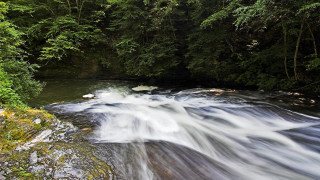 River forest waterfall mountains nature - alexander brook free wallpaper