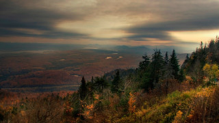 Forest hill cloudy sunset autumn - a cloudy sky above free wallpaper for desktop