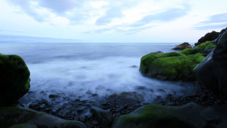 Rocky beach moss water cliffs - the rock and water free wallpaper