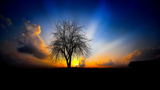 Tree sunset house clouds fields - sunrise free wallpaper