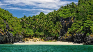 Beach white sand palm trees 2 - a beach free wallpaper for desktop