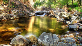 Lush forest stream waterfall rocks 4 - a stream free wallpaper